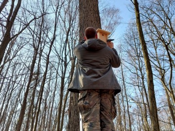 Koniec zimy to ostatni moment na czyszczenie i wieszanie nowych budek lęgowych dla ptaków. Przypominamy, jak ważne jest czyszczenie budek co roku, 